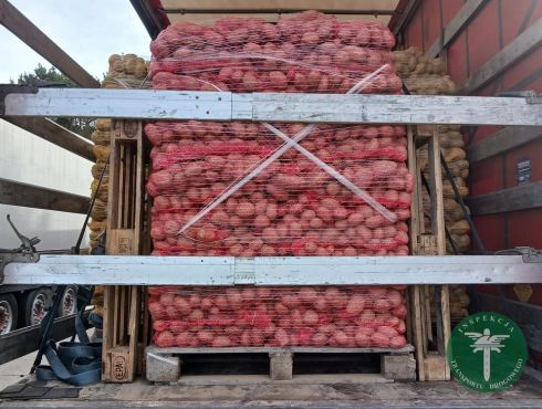 20251029_122057_wynik 20251029_122057_wynik