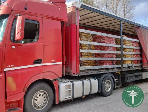 20251029_122320_wynik 20251029_122320_wynik